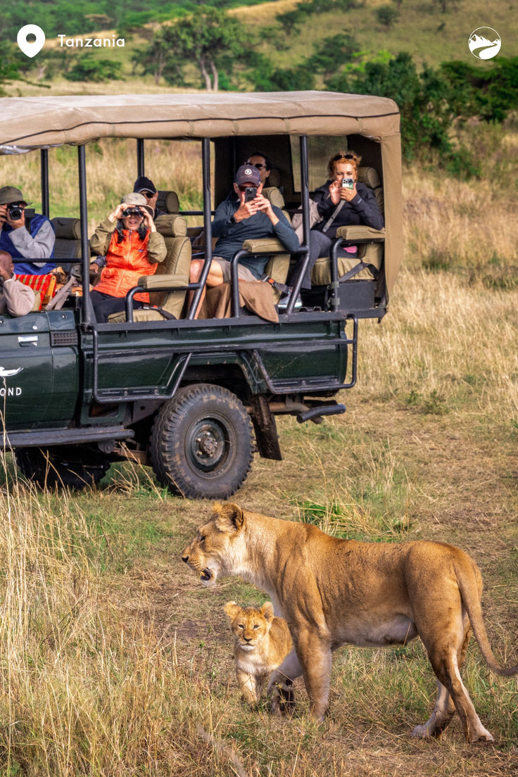 Photography Safari